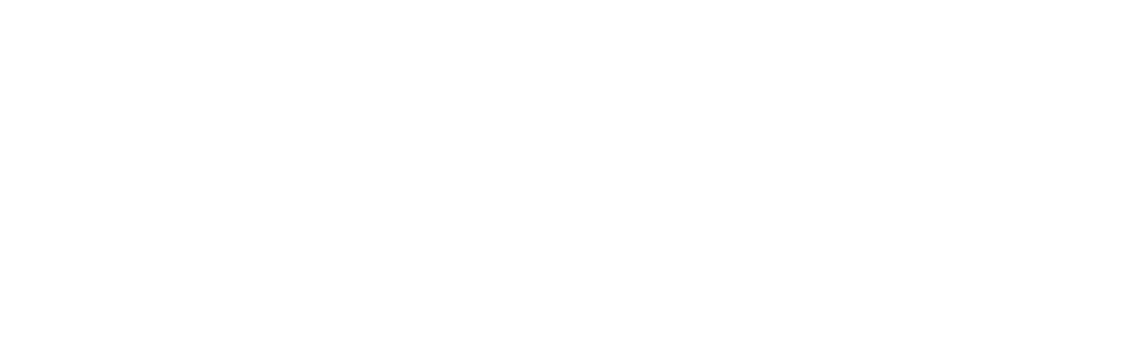 Logo-Dolphins-Digital